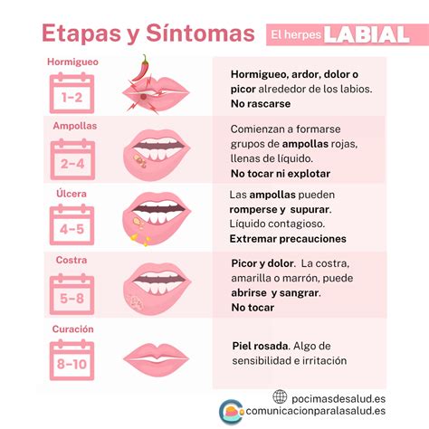 herpes labial fases